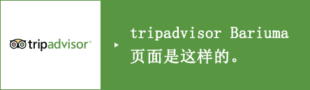 Recommended on tripadvisor